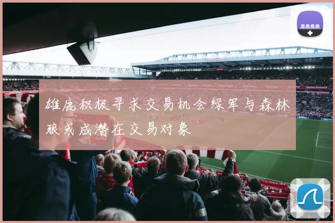 雄鹿积极寻求交易机会绿军与森林狼或成潜在交易对象